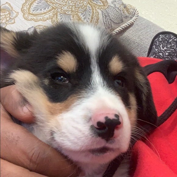 Meet your Posher, Mesfin - Picture 1 of 1